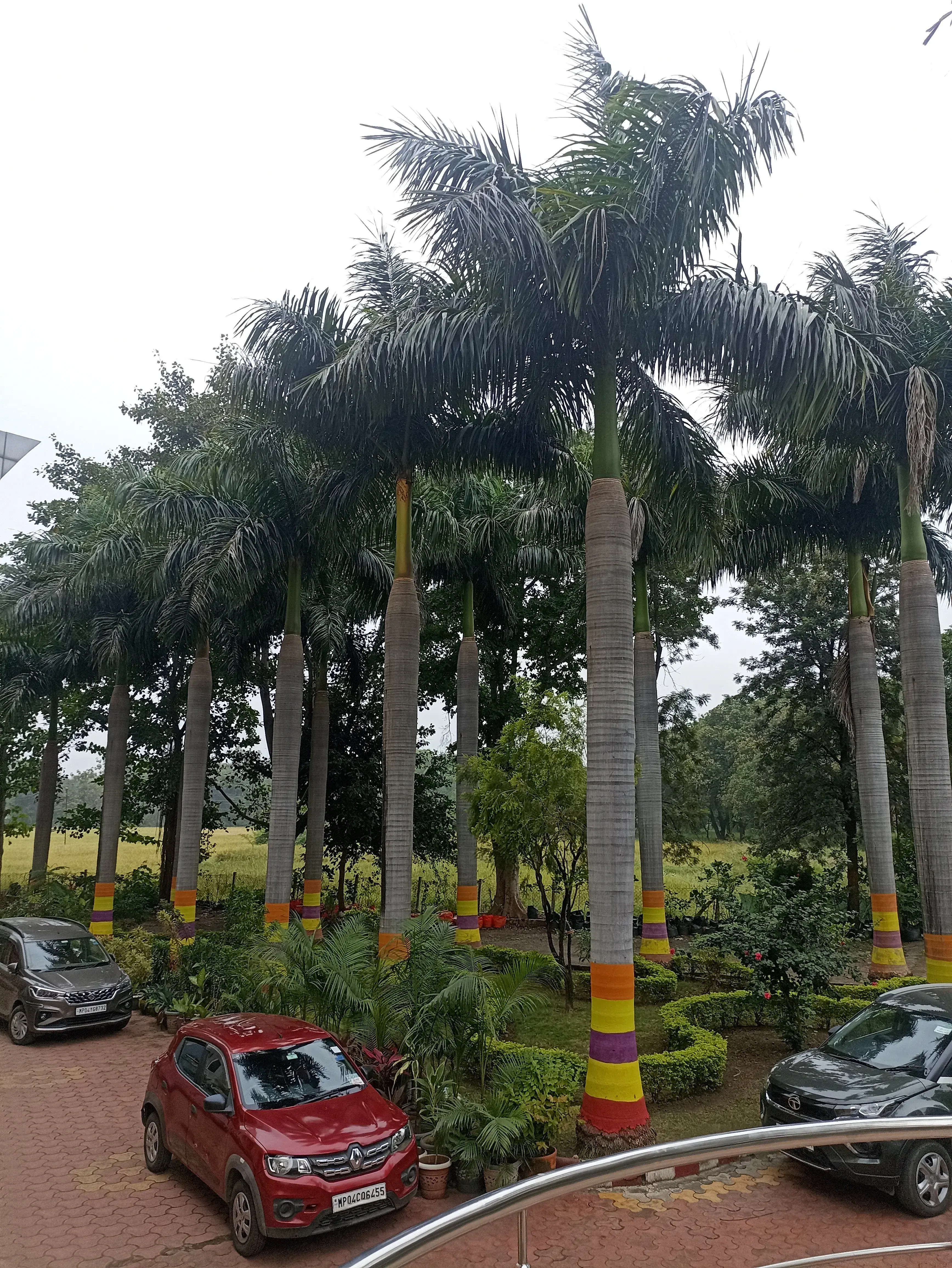 LNCT University Bhopal Campus photo 4